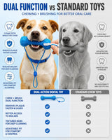 Dual-Action Canine Dental Prop, Bite And Brush Dental Toy For Dogs, Teeth Cleaning Fresh Dog Tartar And Plaque Remover, Woof Tooth Hard Off, Brushing Toothbrush Tools Care Chew Toys 1PC – image 2