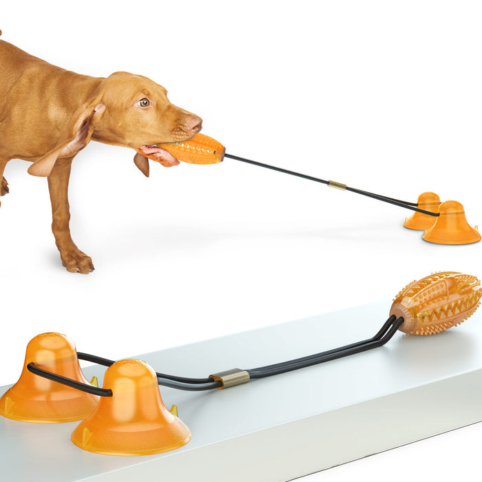 Chew & Play Toys