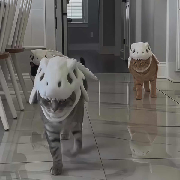 Hat Plush Toys For Pets