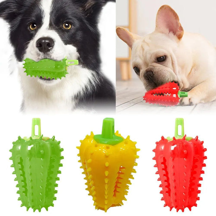 Chew & Play Toys